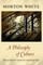 Philosophy of Culture
