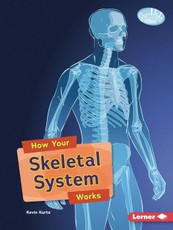 How Your Skeletal System Works