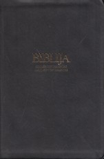 Biblija. Senasis testamentas. Naujasis testamenas