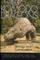 Komodo Dragons