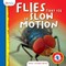 Flies That See in Slow Motion