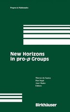 New Horizons in Pro-P Groups