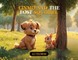 Linmo and the Lost Squirrel