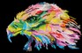 Deimantinė mozaika EAGLE EYE 27x42