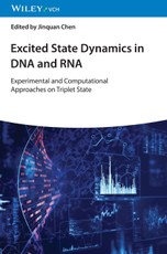 Excited State Dynamics in DNA and RNA