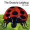 The Grouchy Ladybug Board Book