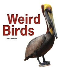 Weird Birds