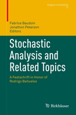 Stochastic Analysis and Related Topics