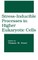 Stress-Inducible Processes in Higher Eukaryotic Cells