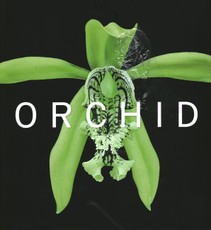 Orchid