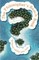 The Philosophers Beach Book