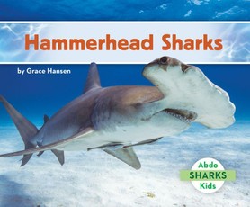 Hammerhead Sharks