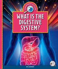 What Is the Digestive System?