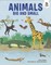 Animals Big and Small