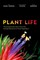 Plant Life