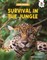 Survival in the Jungle