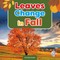 Leaves Change in Fall