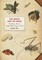 The Insect and the Image