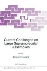 Current Challenges on Large Supramolecular Assemblies