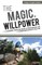 The Magic of Willpower