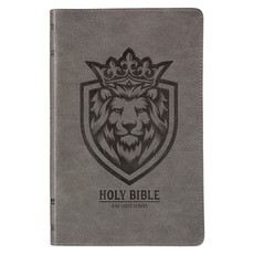 KJV Holy Bible, Gift Edition for Boys King James Version, Faux Leather Flexible Cover, Charcoal Gray Lion Emblem