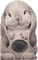 Furry Bunny