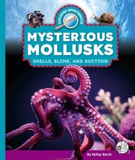 Mysterious Mollusks