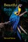 Beautiful Birds