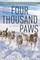Four Thousand Paws