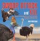 Swoop, Attack and Kill - Deadly Birds | Birds Of Prey for Kids | Children's Bird Books