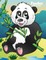 Pandas Coloring Book 1
