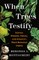 When Trees Testify