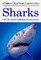 Sharks