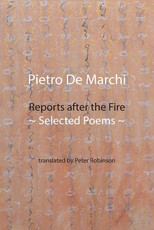 Reports after the Fire