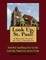 Look Up, St. Paul! A Walking Tour of St. Paul, Minnesota