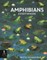 Amphibians Everywhere