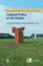 Cultural Policy in the Polder