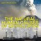 The Natural vs. Human Causes of Air Pollution : Environment Textbooks | Children's Environment Books