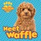 Meet Waffle!