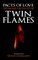 The Sacred Truth of the Twin Flames