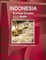 Indonesia Business Success Guide - Basic Practical Information and Contacts