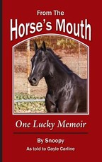 From the Horse's Mouth