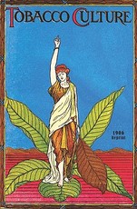 Tobacco Culture - 1906 Reprint