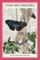 Create More Butterflies