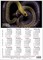 Kalendorius A3 plakatas