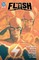 The Flash Vol. 4