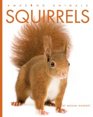 Squirrels