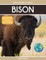 Bison