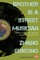 Brother Is a Street Musician