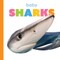 Baby Sharks